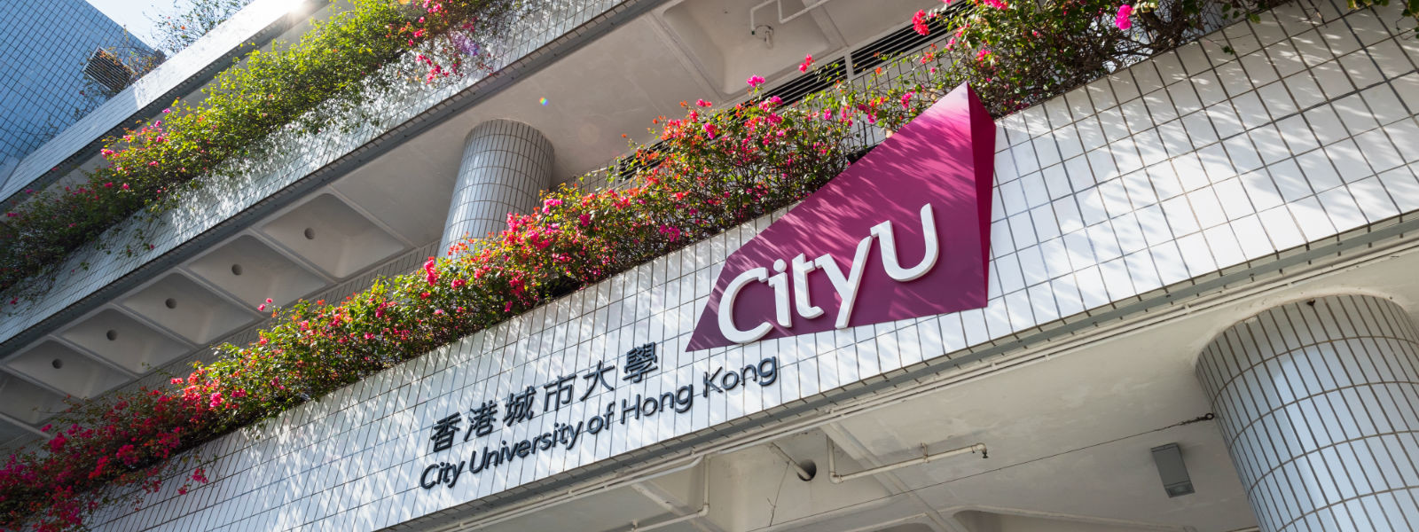 香港城市大學